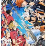 Haikyu!! The Dumpster Battle ไฮคิว!! คู่ตบฟ้าประทาน ตอน: ศึกที่กองขยะ  พากย์ไทย